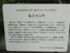 img0000.jpg
