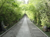 img0003.jpg