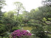 img0014.jpg