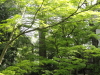 img0015.jpg