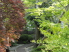 img0016.jpg