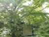 img0018.jpg