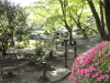 img0027.jpg