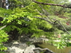 img0035.jpg
