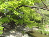 img0036.jpg