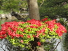 img0046.jpg