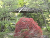 img0047.jpg