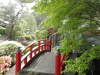 img0049.jpg