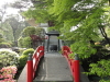 img0050.jpg