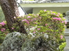 img0061.jpg