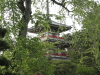 img0063.jpg