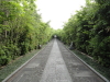 img0067.jpg