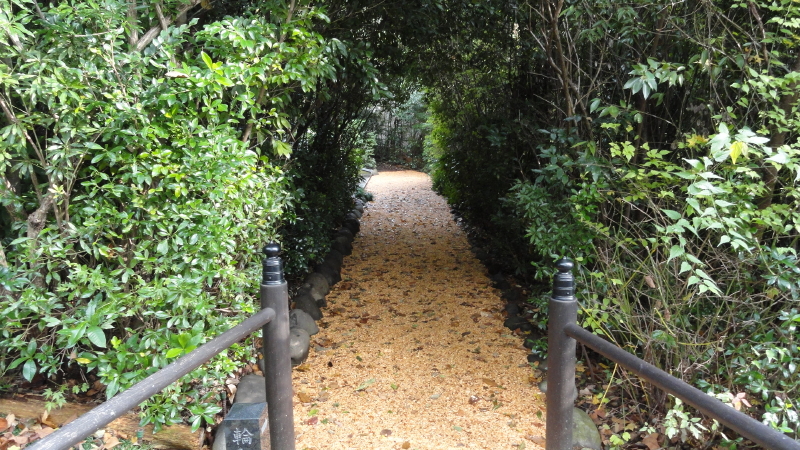 img0005.jpg