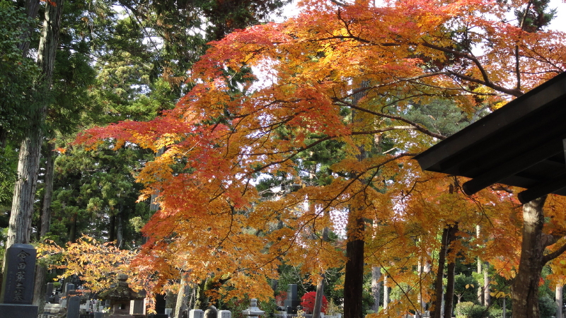 img0024.jpg