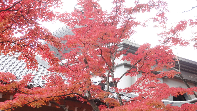 img0029.jpg