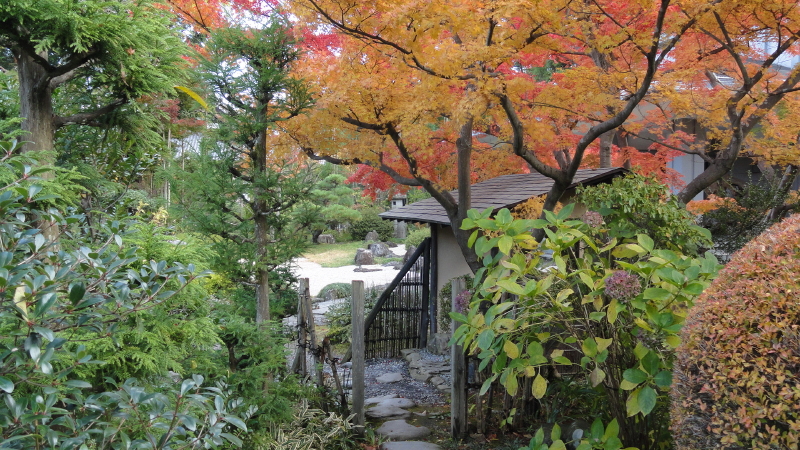 img0033.jpg