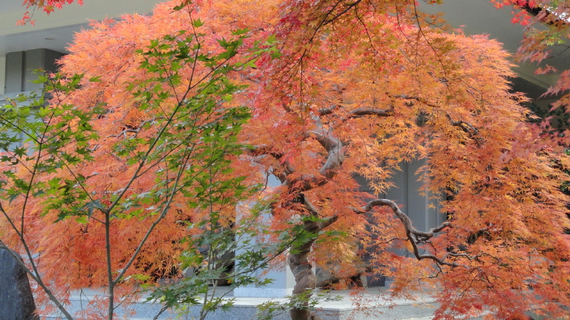 img0035.jpg