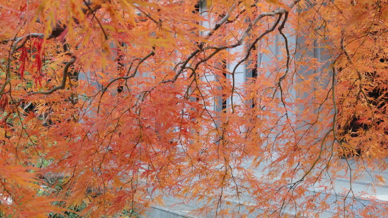 img0039.jpg