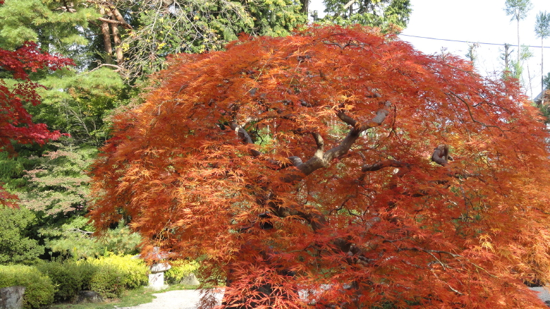 img0051.jpg