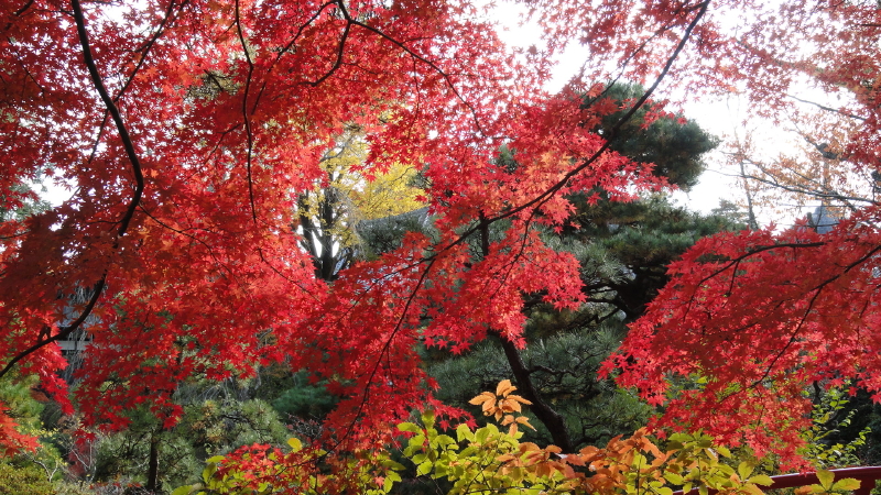 img0093.jpg