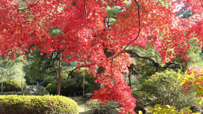 img0100.jpg