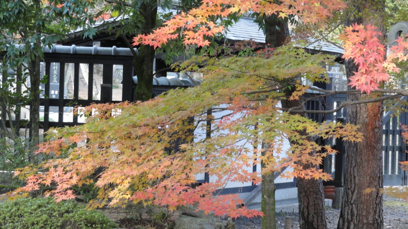 img0110.jpg