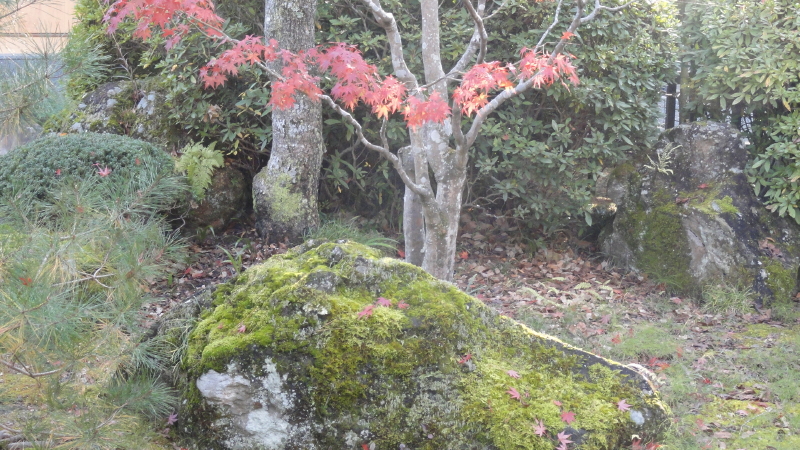 img0118.jpg