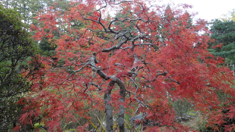 img0123.jpg