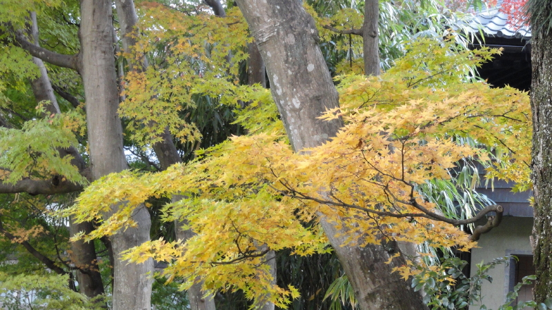 img0126.jpg