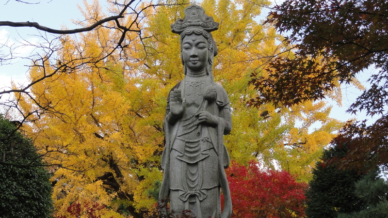 img0141.jpg