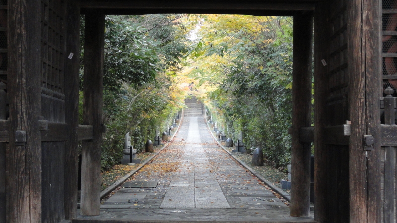 img0143.jpg
