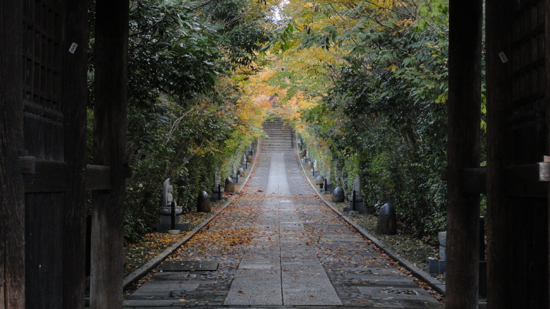 img0145.jpg