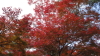 img0003.jpg