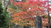 img0006.jpg