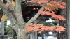 img0008.jpg
