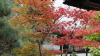 img0013.jpg