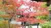 img0014.jpg