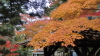 img0015.jpg