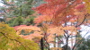 img0016.jpg
