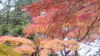 img0017.jpg