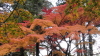 img0018.jpg