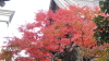 img0019.jpg