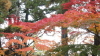 img0021.jpg