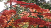 img0023.jpg