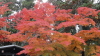 img0026.jpg