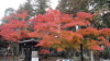 img0027.jpg