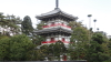 img0028.jpg