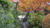 img0033.jpg