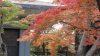 img0037.jpg
