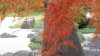 img0042.jpg